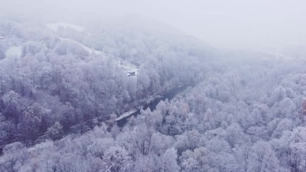 雪景色と光の雪の中で冷たいストリームの空中ショット 川を隔てる自然のままの風景の上に高くそびえる白い木 12月の自然 室外機 — ストック動画