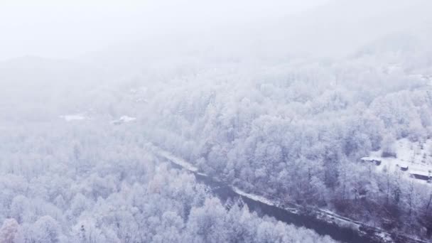 Luftaufnahme Von Verschneiter Landschaft Und Kaltem Bach Bei Leichtem Schneefall — Stockvideo