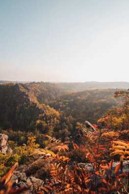 Korunan doğa rezervi Divoka Sarka, Prag ve Çek Cumhuriyeti 'nin ünlü turistik bölgesi. Günbatımında etrafındaki sonbahar ormanlarının kayalarından bak..