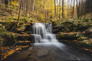 Vlasky Nehri 'nin şelalesi, kırmızı-turuncu renkte karışık bir sonbahar ormanının ortasında, el değmemiş bir arazide güneşle aydınlatılıyor. Moravka, Beskydy Dağları, Çek Cumhuriyeti.