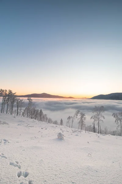 Rising Sun in the Golden Hour irradiates with its rays the impenetrable sea of clouds into orange color. Winter morning inversion on a snow-covered mountain. Beskydy mountains, Czech republic.