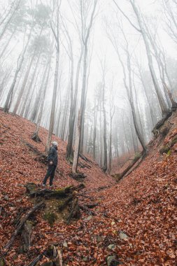 Adventurous male discovering the beauty of the gorge in the morning mist and fallen orange-red leaves. Jewels Beskydy mountains, Czech Republic