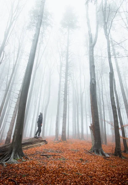 Man standing on a fallen tree watching the creeping pain in the form of the morning mist that surrounds and consumes. Autumn morning mood. Beskydy mountains, Czech republic.