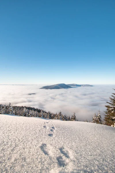 捷克共和国别斯基底地区的山地正在陷入从城市升起的浓密的白色倒转之中 中欧冬季童话般的风景 — 图库照片