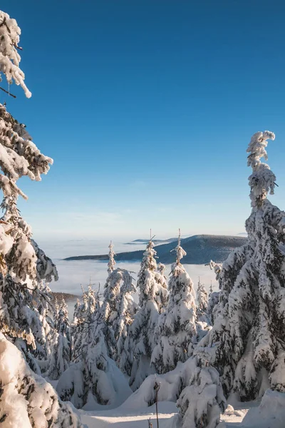 Naturreservat Rund Lysa Hora Unter Einer Schneedecke Mit Blick Auf — Stockfoto