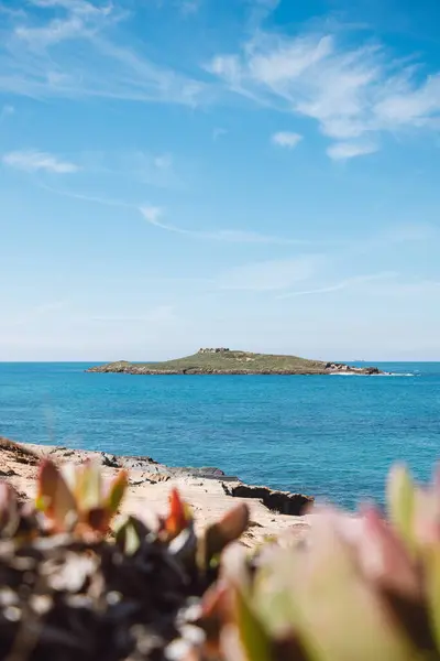 Vista Único Forte Ilha Pessegueiro Largo Porto Covo Flores Primavera — Fotografia de Stock