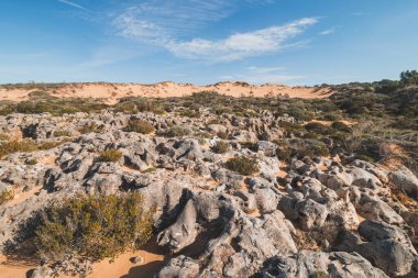Küçük kaya ve deliklerden oluşan kireçtaşı manzarası. Portekiz 'in batısındaki Odemira bölgesinin gelecekteki manzarası. Balıkçı Patikası boyunca gezinen, Rota Vicentina.
