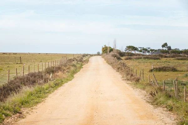 stock image Wandering along a dry, gravel road near Zambujeira do Mar, Odemira region, western Portugal. Wandering along the Fisherman Trail, Rota Vicentina.