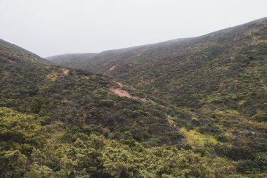 Portekiz yağmur mevsiminde ülkenin güneybatısında, Algarve bölgesinde yer alır. Ekvator yeşili bir manzara. Ülkenin biyolojik çeşitliliği. Farklılık ve çeşitlilik.