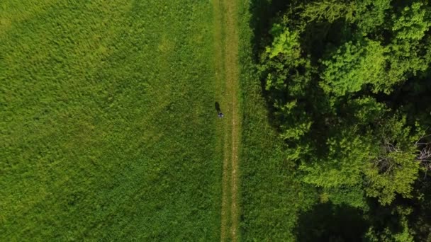 Luftaufnahme Eines Mannes Der Einem Sonnigen Tag Auf Einen Hügel — Stockvideo