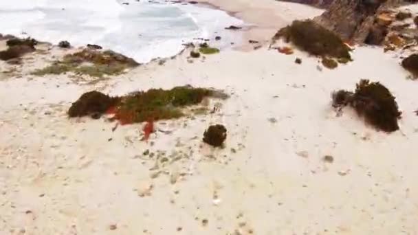 Западное Побережье Португалии Песчаными Пляжами Чистым Атлантическим Океаном Мягким Светом — стоковое видео