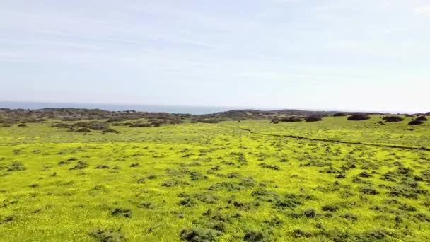 Pemandangan Udara Padang Rumput Berbunga Jalur Nelayan Wilayah Algarve Portugal — Stok Video