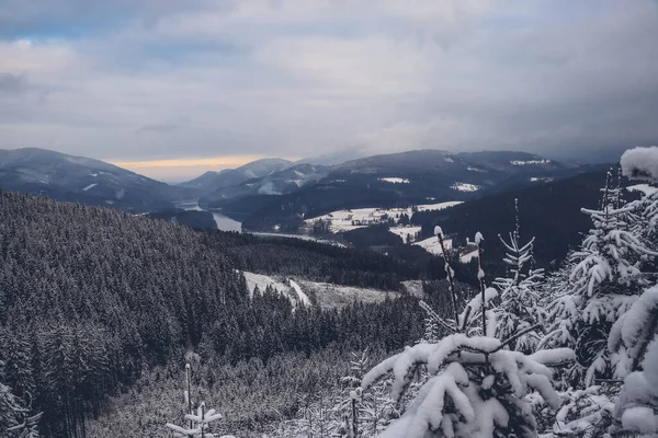 Snöiga Beskydy Berg Tjeckien Porten Till Orörd Natur Rostfri Morgon — Stockfoto