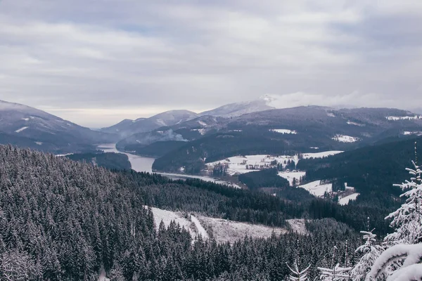 捷克共和国别斯基底雪山 通往未被触动的大自然的通道多霜的早晨 — 图库照片
