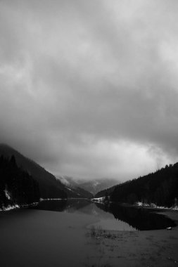 Çek Cumhuriyeti 'nin Ostravice kasabası yakınlarındaki Sance barajının üzerindeki kozalaklı ağaçların üzerinde bulutlu gökyüzü ve yoğun sis yuvarlanıyor..