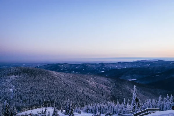 Πρωινή Αφύπνιση Της Μαγευτικής Ανέγγιχτης Φύσης Τους Χειμερινούς Μήνες Φωτίζεται — Φωτογραφία Αρχείου