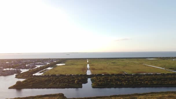 Flygfoto Sjön Delas Mellan Naturöarna Almere Nederländerna Solnedgången Video — Stockvideo