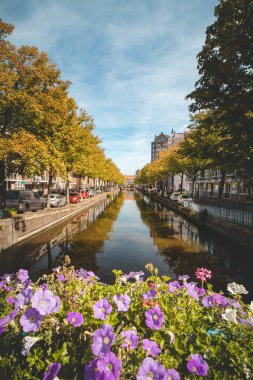 Hollanda 'nın batısındaki Den Haag' daki gökdelenlere bakan şehir kanalı etrafındaki ağaçlarla çevrili bulvar. Hollanda 'da Yaz.