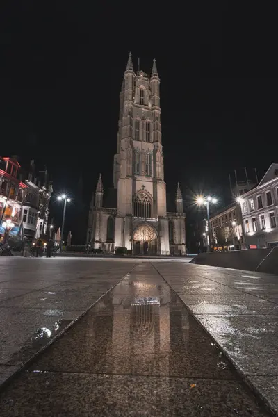Sint Baafskathedraal Den Historiska Delen Gent Natten Belfry Från Gent Stockfoto