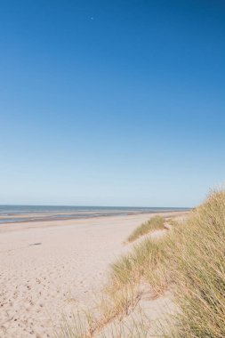 Gündüz vakti Belçika 'nın Atlantik kıyısındaki tipik plajlar. Rahatlama ve dinlenme yeri. Boş zamanlarını harcıyorsun..