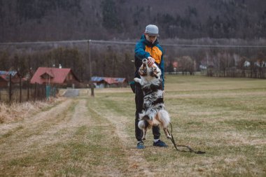 Genç bir Saynolojist, köpek eğitmeni dört ayaklı bir Avustralya çoban köpeğini eğitti. Köpek ve insan arasındaki aşk. Şirinlik.