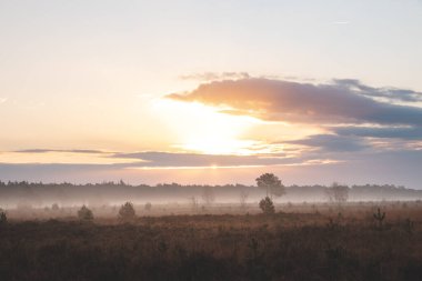 Turuncu sabah güneşi, Belçika 'nın kuzeybatısındaki Antwerp yakınlarındaki Grenspark Kalmthoutse Heide' den gizlenmiş kumlu bir patikayı ve manzarayı aydınlatıyor..
