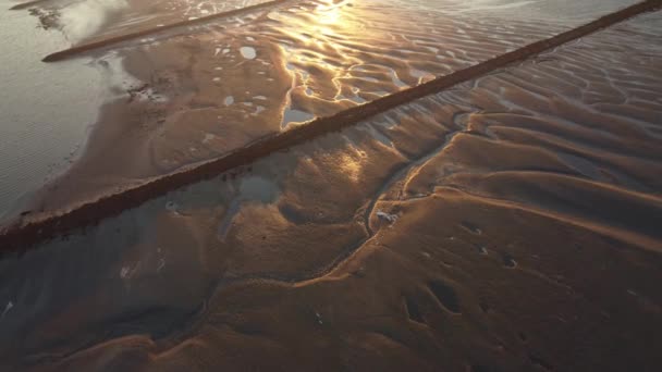 Luftaufnahme Der Trockenen Küste Bei Ebbe Ossenisse Aussichtsturm Sanften Licht — Stockvideo