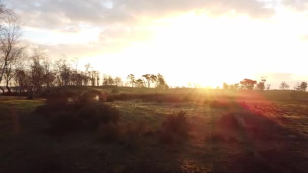 西フランダース地域のベルギーの田園地帯の北東にあるグレンズパーク カルムトヘッドの牧草地の上の日の出の空中観察 — ストック動画