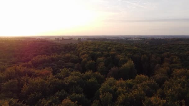 Flygfoto Över Belgiens Friska Lövskogar Vid Solnedgången Lungor Frisk Luft — Stockvideo