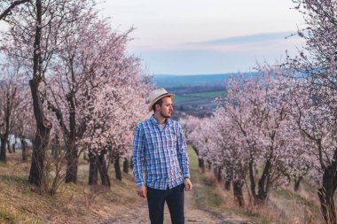 Bej gömlekli ve şapkalı kaşif Çek Cumhuriyeti 'nin Hustopece kasabasındaki parlak bir badem bahçesinden geçiyor. İlkbahar.