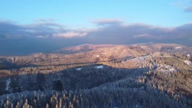 Çek Cumhuriyeti 'nin Beskydy dağlarında kar ormanları kış aylarında gün batımına kadar aydınlanır. 4k video