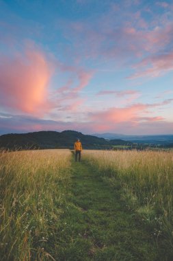 Sarı ceketli yalnız yürüyüşçü Çek Cumhuriyeti 'nde dramatik bir pembe ve mavi günbatımı gökyüzü altında altın renklerle çevrili çimenli bir tarlada yürüyor. Tepeler ve uzak vadiler manzarayı tamamlar.