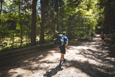 Bir grup yürüyüşçü, ağaçların arasından süzülen, gölgeli bir orman patikası boyunca yürürler. Barışçıl Beskydy Dağları 'nın derinliklerine doğru ilerlerken..