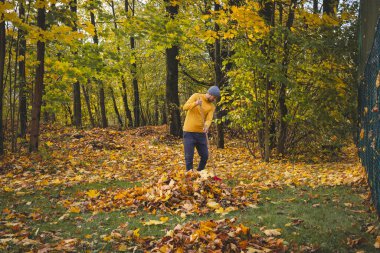 Sarı kazaklı ve bereli bir adam renkli bir ormanda sonbahar yapraklarını tırmıklıyor. Altın yapraklar ve sakin atmosfer mevsimsel açık hava çalışmalarının güzelliğini gözler önüne seriyor..