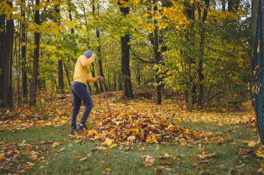 Sarı kazaklı ve bereli bir adam renkli bir ormanda sonbahar yapraklarını tırmıklıyor. Altın yapraklar ve sakin atmosfer mevsimsel açık hava çalışmalarının güzelliğini gözler önüne seriyor..