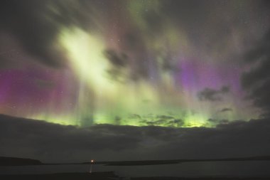 Aurora Borealis, kuzey ışıkları, Snaefellsnes yarımadası üzerinde, Batı İzlanda. Parlak yeşil, mor gökyüzü, dönen ışıklar, yıldızlı gece, yansıyan su, dingin doğa harikası.