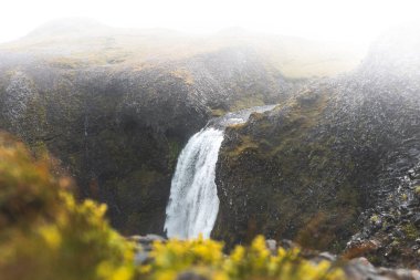 Batı İzlanda 'daki Snaefellsnes yarımadasında yosun kaplı kayalara düşen büyüleyici şelaleler. Sis ile kaplanmış bu sahne, karamsar ve sakin bir atmosfer yayar..