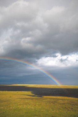 Canlı gökkuşağı bulutlu gökyüzünde sakin bir İzlanda çayırının üzerinde uzanıyor. Snaefellsnes Yarımadası, Batı İzlanda. Canlı renkler, yumuşak, karamsar bulutlar ve altın otlarla çok güzel tezat oluşturuyor..