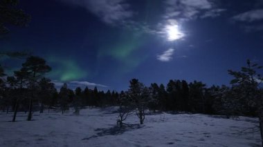 Dolunay, Kuzey Norveç, Balsfjord 'daki bir kış manzarasında yeşil Aurora Borealis' in parıltısıyla gökyüzünde dolaşıyor. Yatay 4K videosu