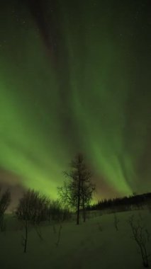 Kuzey Norveç 'te gökyüzünde dans eden Aurora Borealis' in nefes kesen hızlandırıcılığı. Kuzey ışıkları yeşil, pembe ve kırmızı tonlarda parlar. Dikey bir 4K videosu