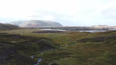 İzlanda 'nın yemyeşil arazilerinden süzülen sarmal buzul nehirlerinin hava görüntüsü, adaları ham ve canlı bir güzellikle aydınlatan çarpıcı doğal desenler yaratıyor. Snaefellsnes Yarımadası