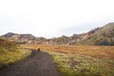 Yürüyüşçü, İzlanda Dağları 'ndaki Landmannalaugar' ın renkli ryolite dağları boyunca kirli bir yolda yürüyor. Vahşi volkanik güzelliğe barışçıl bir yolculuk..