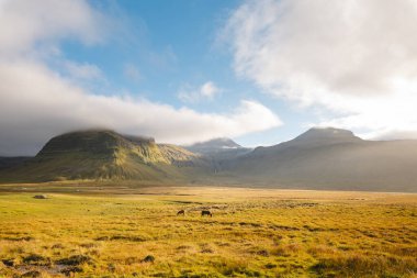 Snaefellsnes Yarımadası, İzlanda 'daki Grundarfjordur yakınlarındaki manzara dağları dramatik bulutlarla altın ışıkta parlıyordu. İzlanda ve kuzey üzerinde gün batımı.