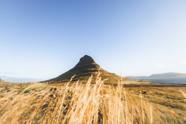 Kirkjufell Dağı, gün doğumunda altın çayırlar ve yumuşak bulutlarla Snaefellsnes Yarımadası 'nda barışçıl ve ikonik bir İzlanda manzarası yaratır..