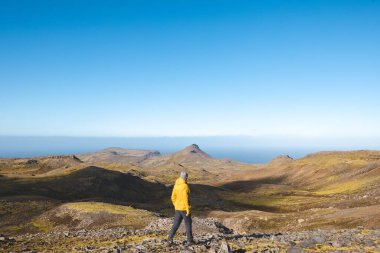 Sarı ceketli yalnız yürüyüşçü İzlanda 'daki Snaefellsnes yarımadasında, geniş volkanik dağlar ve okyanus ufkuyla çevrili parlak mavi gökyüzünün altında kayalık yolda yürüyor..