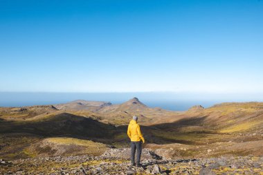 Sarı ceketli yalnız yürüyüşçü İzlanda 'daki Snaefellsnes yarımadasında, geniş volkanik dağlar ve okyanus ufkuyla çevrili parlak mavi gökyüzünün altında kayalık yolda yürüyor..