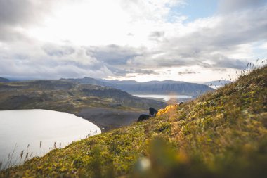 Sarı ceketli gezgin, İzlanda 'daki Snaefellsnes yarımadasındaki The Horn' un çimenli yamaçlarında dinleniyor. Huzurlu göllere, uçurumlara ve uzak dağlara bakıyor. Dağın tepesinde serinliyor.