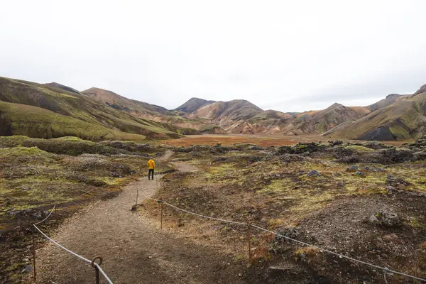 Gezgin, İzlanda Dağları 'nda yosunlu kayalar ve uzak ryolite zirveleriyle çevrili engebeli bir lav tarlasında yürüyor. İzlanda 'nın vahşi kalbinde gerçeküstü bir yolculuk.