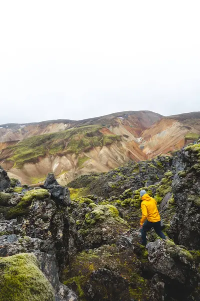 Sarı ceketli bir yürüyüşçü yosunlu lav kayalarının üzerinde durup İzlanda 'daki Landmannalaugar' ın canlı rhyolite dağlarına bakıyor. Dokunulmamış İskoçya 'da bir huşu anı.