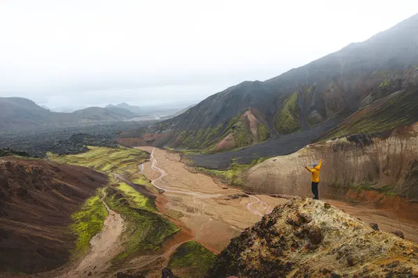 Gezgin, İzlanda, Landmannalaugar 'ın volkanik vadilerinin üzerindeki bir dağ sırtında zaferle kollarını kaldırır. Ham ve görkemli vahşi doğada bir özgürlük anı..